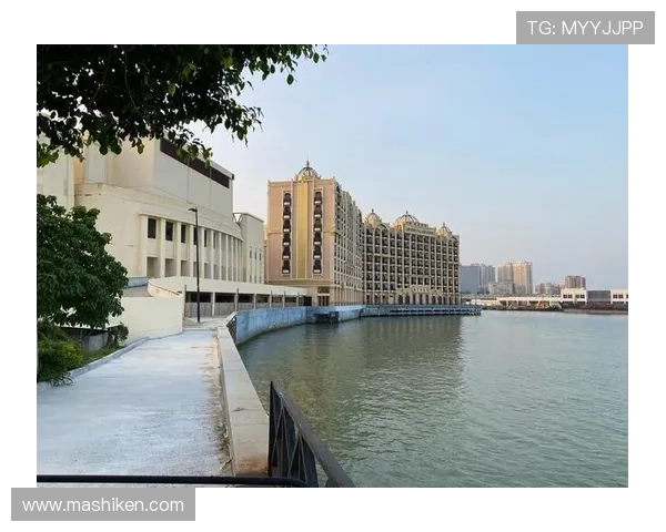 澳门华都在线地址官方最新更新版本及访问方法全方位解析